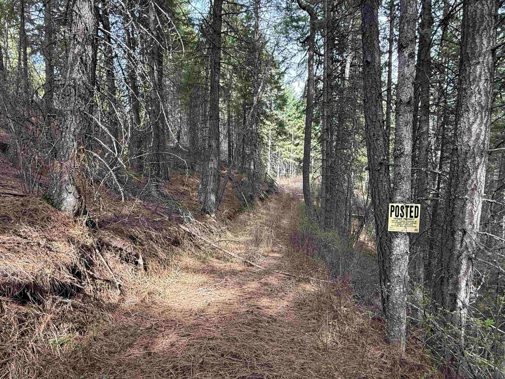 NNA Buck Creek Rd, Loon Lake, WA 99148 photo 23