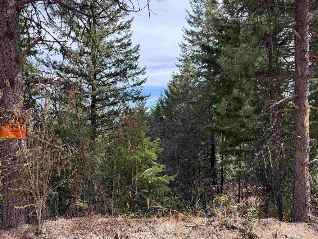 NNA Buck Creek Rd, Loon Lake, WA 99148 photo 24