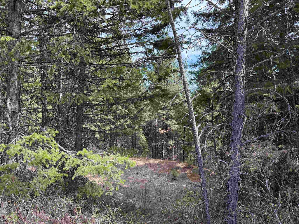 NNA Buck Creek Rd, Loon Lake, WA 99148 photo 7