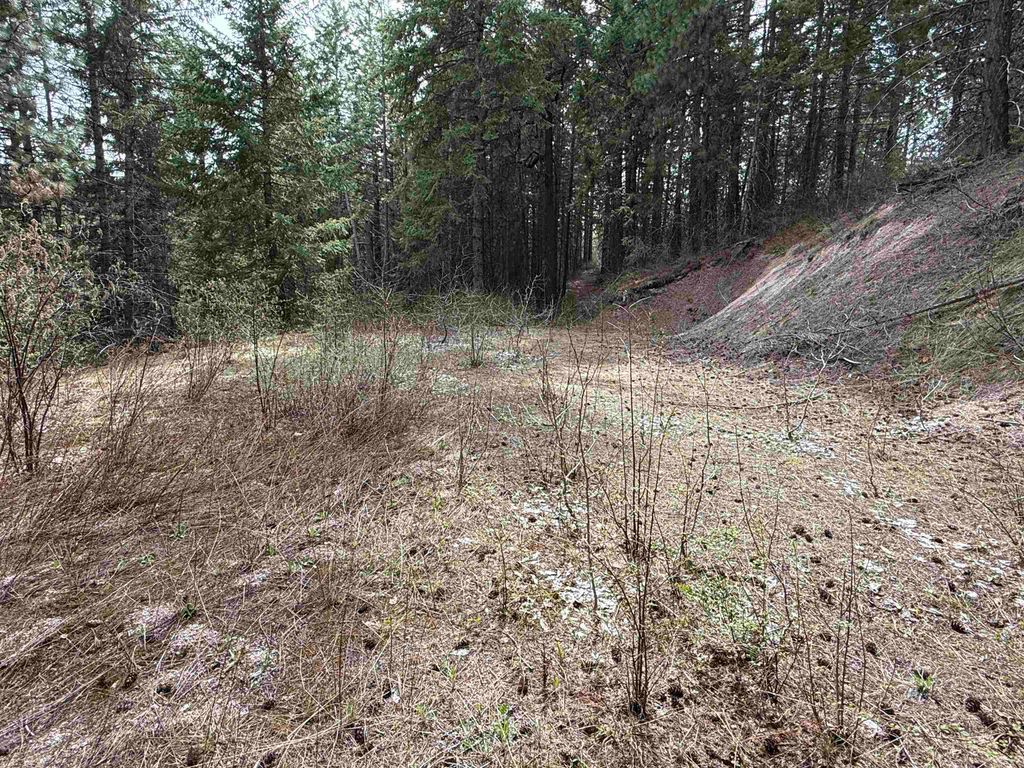 NNA Buck Creek Rd, Loon Lake, WA 99148 photo 8