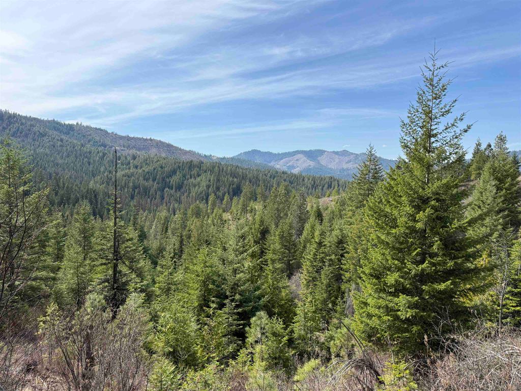 NNA Buck Creek Rd, Loon Lake, WA 99148 photo 9