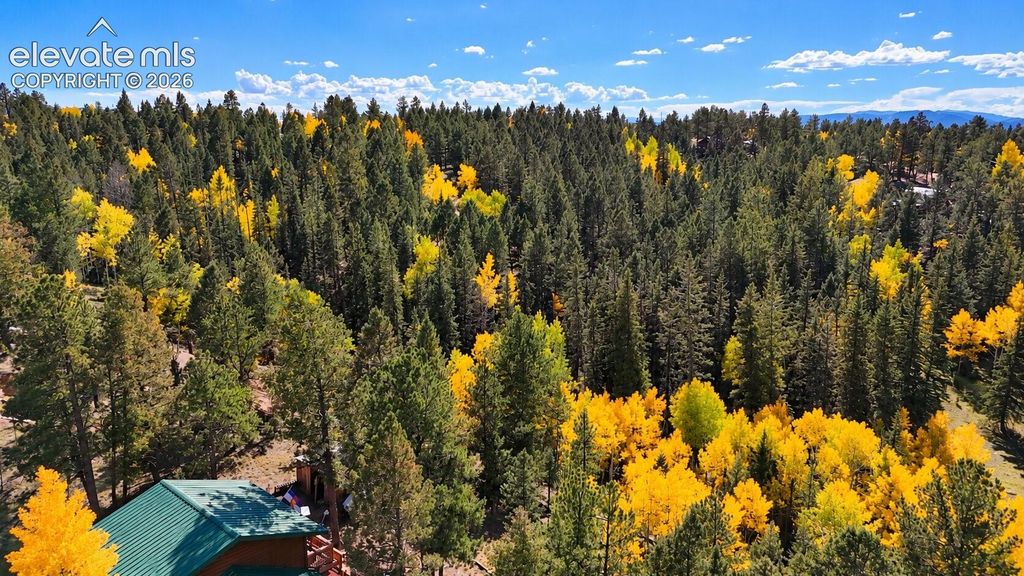 54 Spring Valley Lane, Florissant, CO 80816 — photo 3