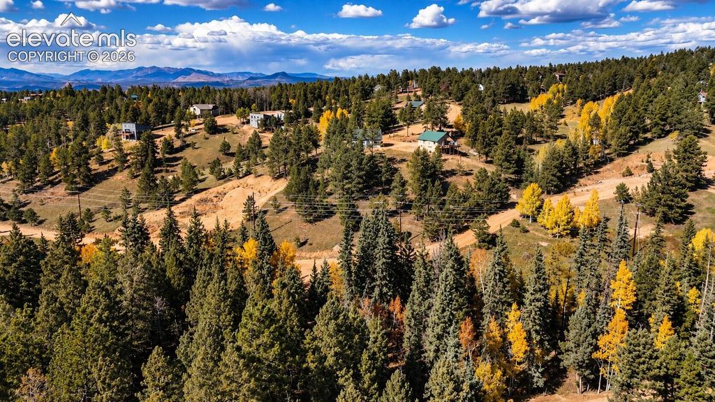 54 Spring Valley Lane, Florissant, CO 80816 — photo 5