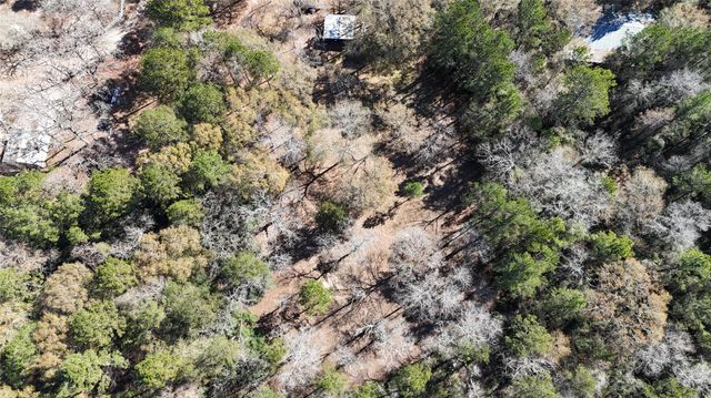 16044 Yaupon Berry, Plantersville, TX 77363