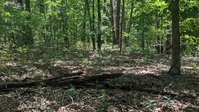 000 Lot # 94 Hwy 173, Cape Fair, MO 65624