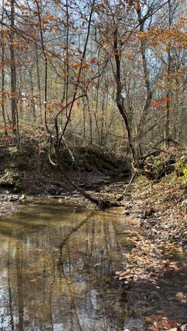 0 Brooksie Thompson Rd, Bath Springs, TN 38311