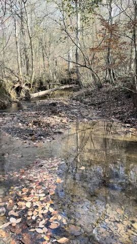0 Brooksie Thompson Rd, Bath Springs, TN 38311