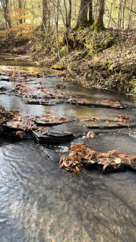 0 Brooksie Thompson Rd, Bath Springs, TN 38311