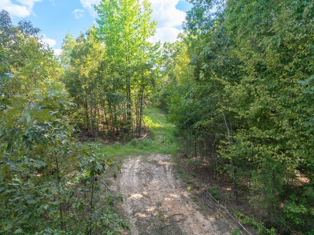 0 Brooksie Thompson Rd, Bath Springs, TN 38311