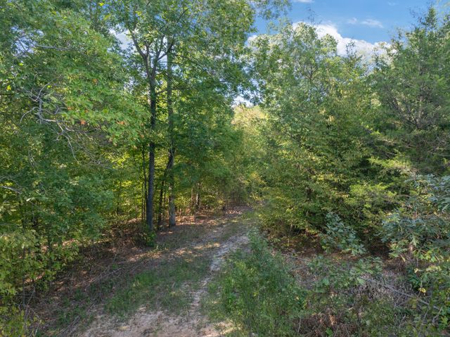 0 Brooksie Thompson Rd, Bath Springs, TN 38311