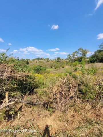 798 FORD Rd, Ghent, KY 41045