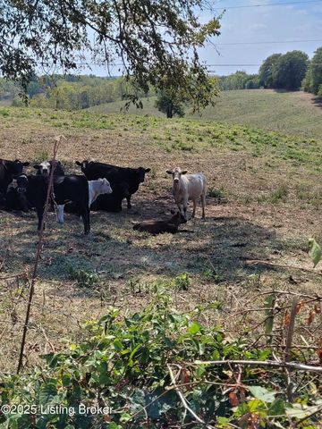 798 FORD Rd, Ghent, KY 41045