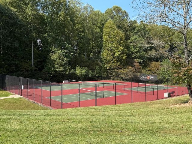 113 Owen Glen Drive, Blairsville, GA 30512