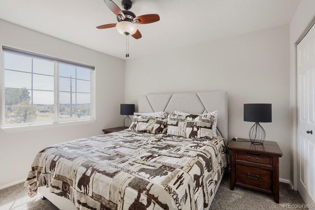453 Wrybill Court, Loveland, CO 80537