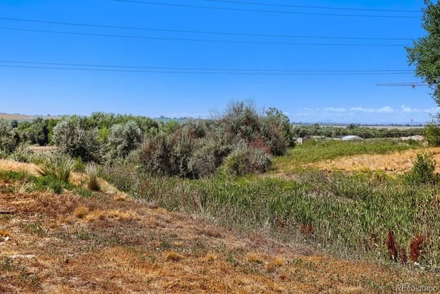453 Wrybill Court, Loveland, CO 80537