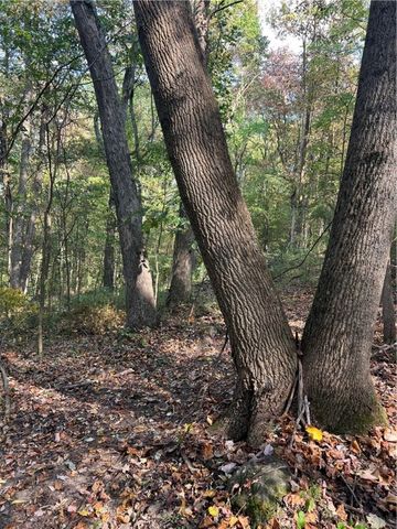 0 N Franklin St, Franklin Twp, PA 16052