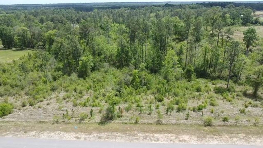 0 Hampton Road, Mobile, AL 36608 — photo 5