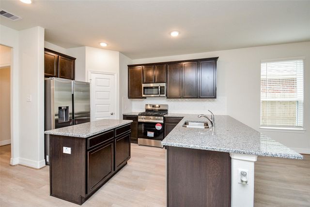 21278 Catalina Palm Drive, Cypress, TX 77433