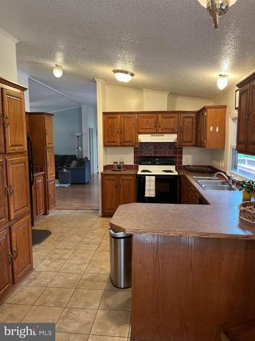 400 N FORK RIVER RD, Shenandoah, VA 22849