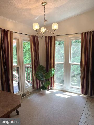 400 N FORK RIVER RD, Shenandoah, VA 22849