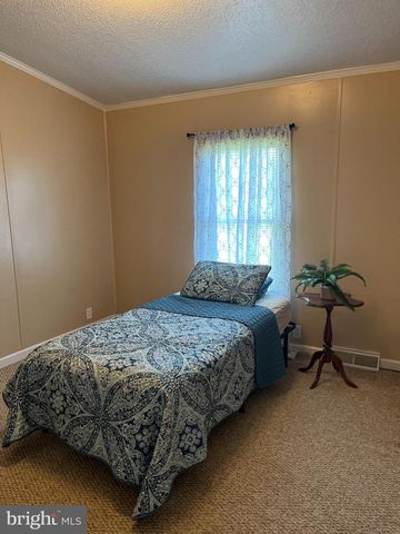 400 N FORK RIVER RD, Shenandoah, VA 22849