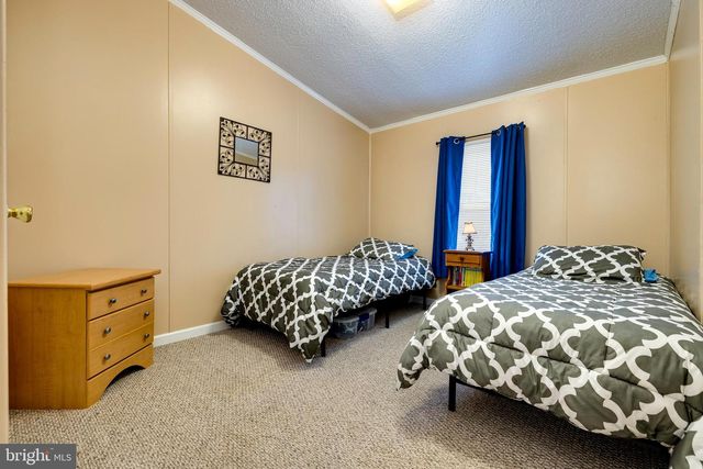 400 N FORK RIVER RD, Shenandoah, VA 22849