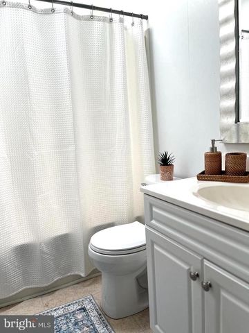 400 N FORK RIVER RD, Shenandoah, VA 22849