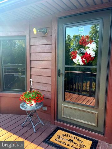 400 N FORK RIVER RD, Shenandoah, VA 22849