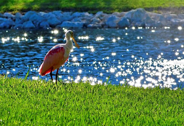 4857 INDEPENDENCE DRIVE, Bradenton, FL 34210