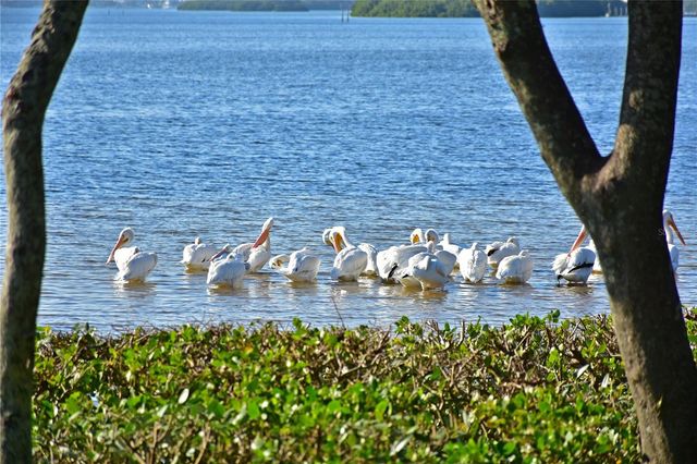 4857 INDEPENDENCE DRIVE, Bradenton, FL 34210