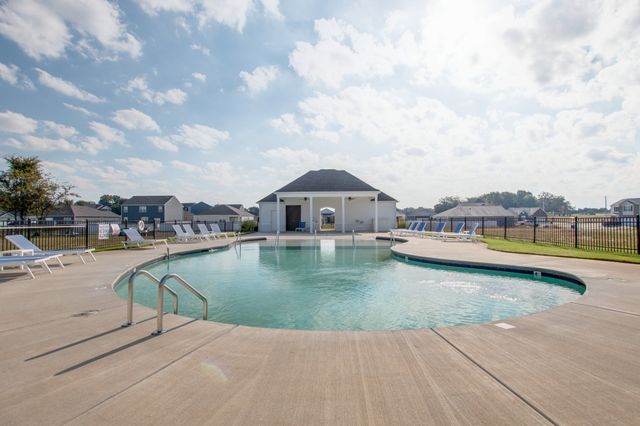 129 Stammer Farms Blvd, Chapel Hill, TN 37034