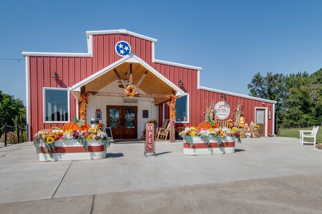 129 Stammer Farms Blvd, Chapel Hill, TN 37034