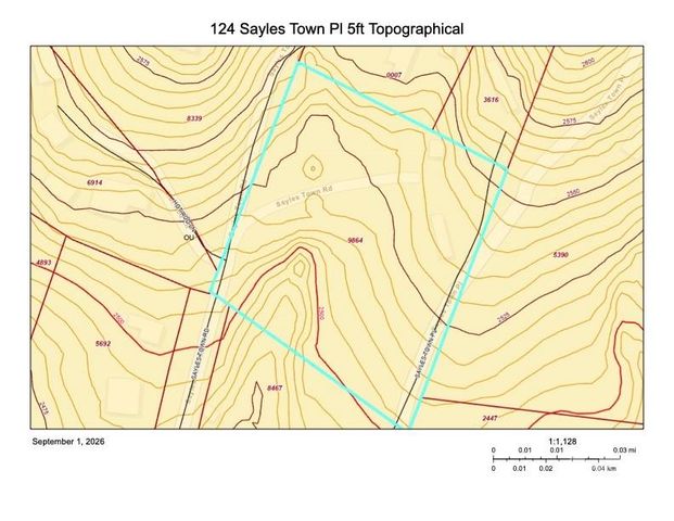 124 Sayles Town Place, Fairview, NC 28730