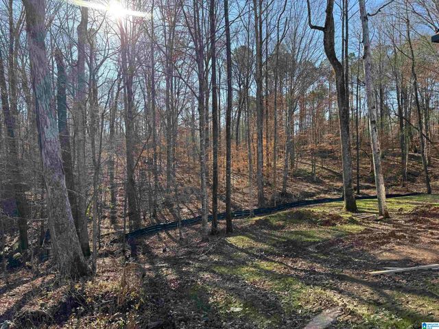 657 LIME CREEK WAY, Chelsea, AL 35043