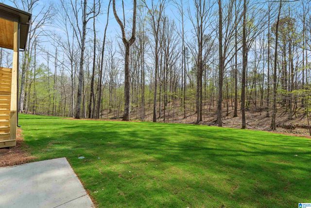 657 LIME CREEK WAY, Chelsea, AL 35043