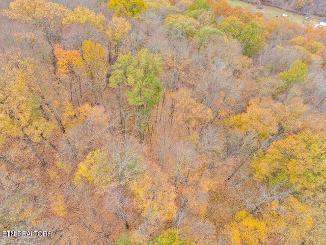 0 Ensor Hollow Rd, Buffalo Valley, TN 38548