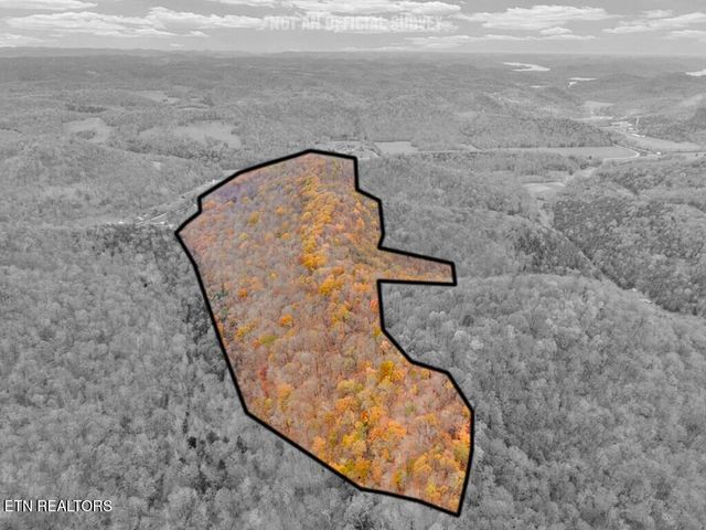 0 Ensor Hollow Rd, Buffalo Valley, TN 38548