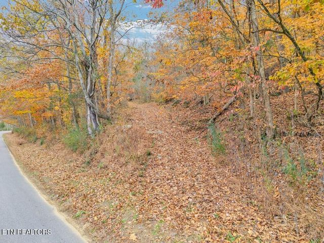 0 Ensor Hollow Rd, Buffalo Valley, TN 38548