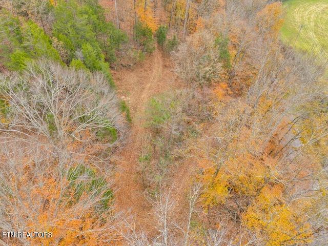 0 Ensor Hollow Rd, Buffalo Valley, TN 38548