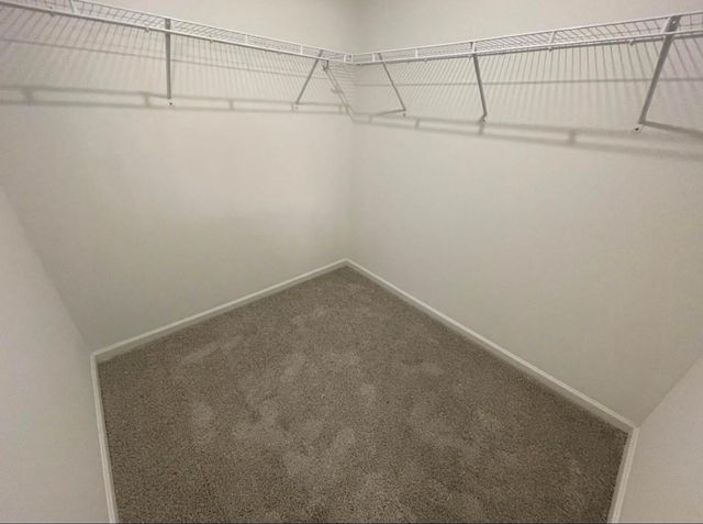 2135 Twisted Cedar Court, Conroe, TX 77301