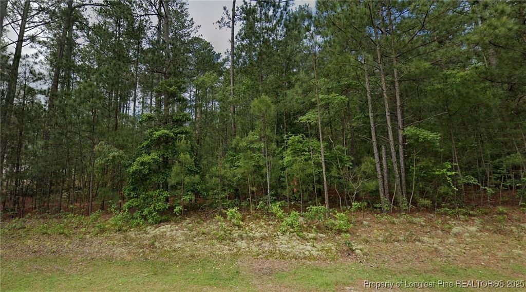 35 Peach Orchard Road, Wagram, NC 28396