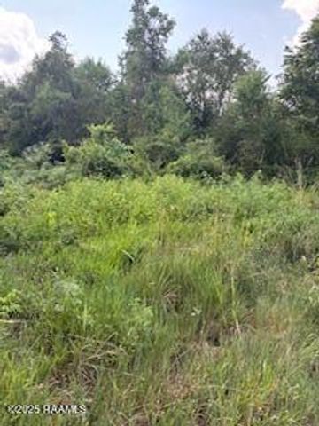 Tbd Lawtell Hwy, Church Point, LA 70525