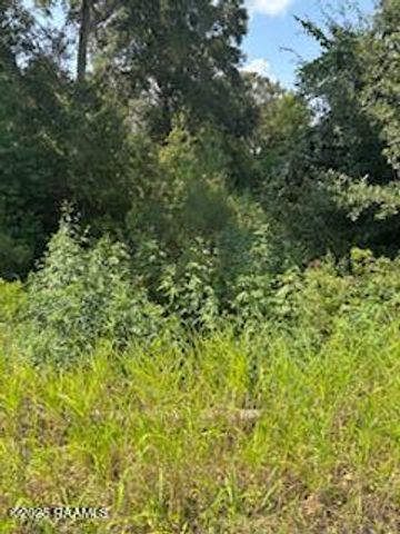 Tbd Lawtell Hwy, Church Point, LA 70525