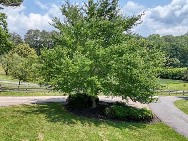 115 Dawsons Lane, Murphy, NC 28906