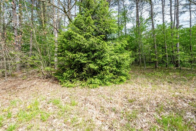 0a Linke Rd Road, Bridgman, MI 49106