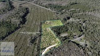 7 Acres Frasier Jackson Circle NE, Ludowici, GA 31316