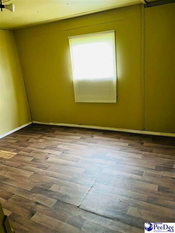 2425 Dixie Acres Drive, Hamer, SC 29547