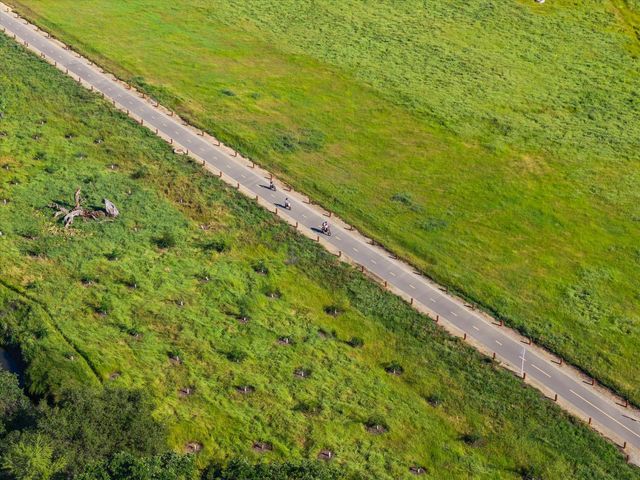 9041 Sausalito Ln, Roseville, CA 95747