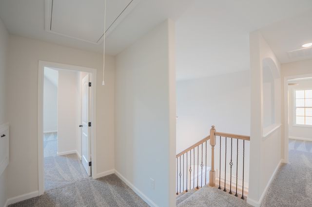 242 Autumnwood Farms, Clarksville, TN 37042