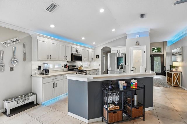 19009 FALCONS PLACE, Tampa, FL 33647